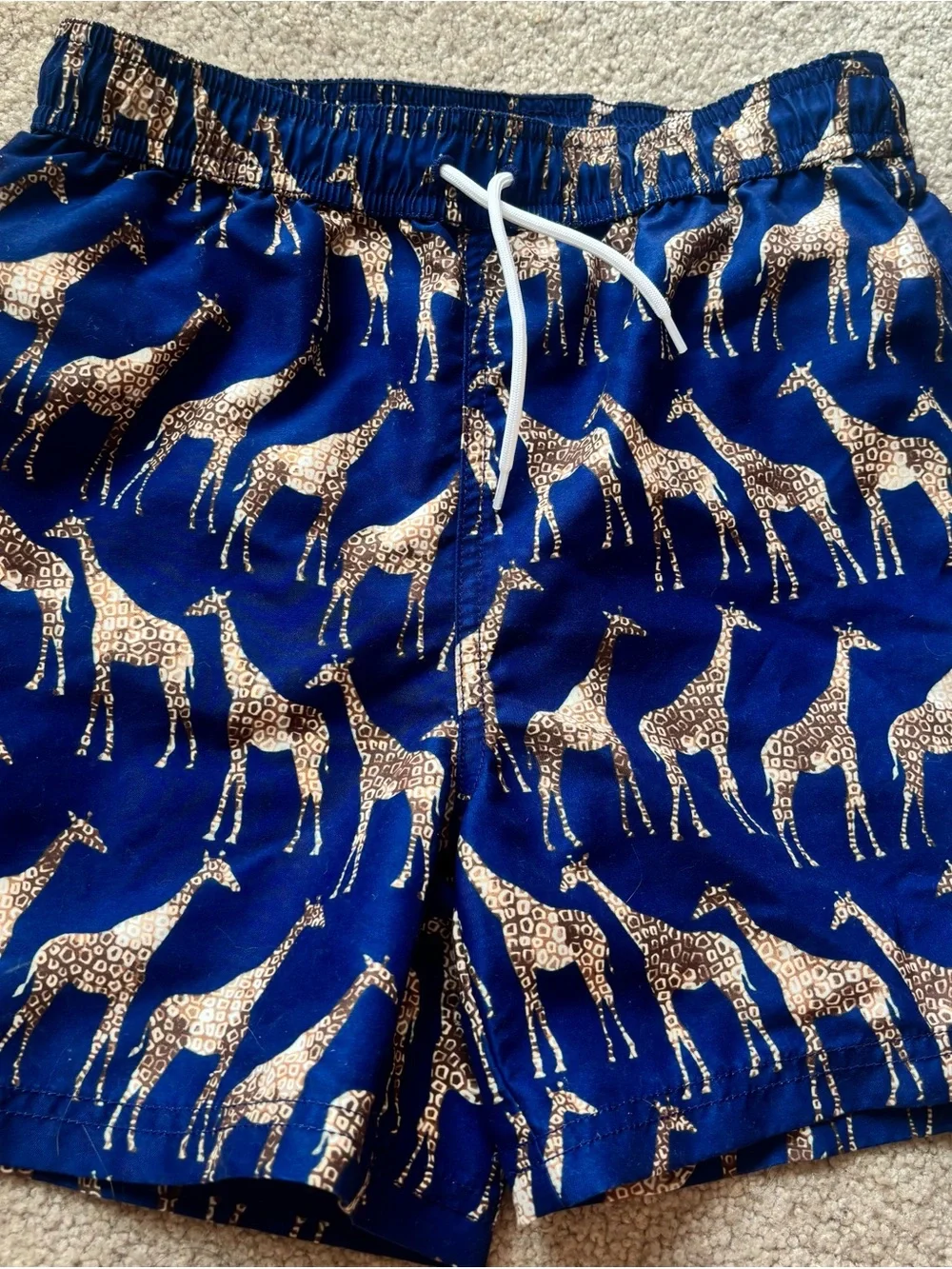 Janie and Jack Navy Giraffe Print Short & Floral Drawstring Short